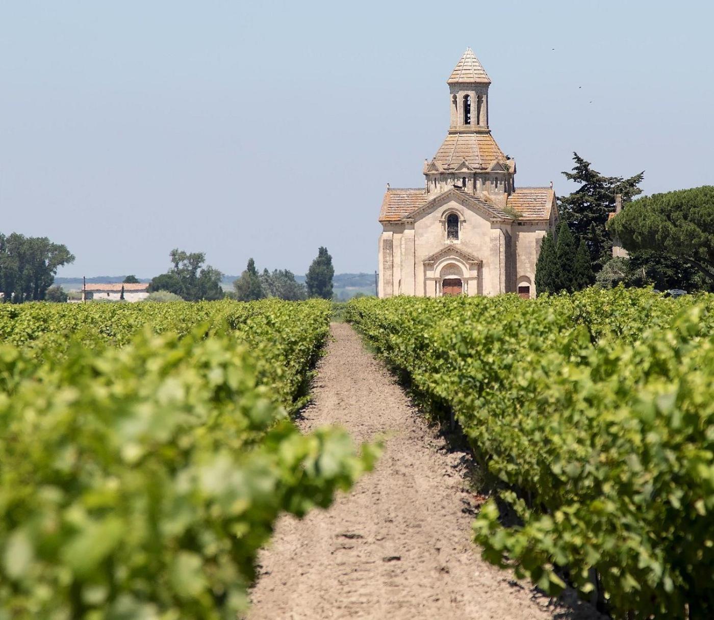 Bord Du Canal Du Rhone A Sete Sur "Cesar" Вовер Экстерьер фото
